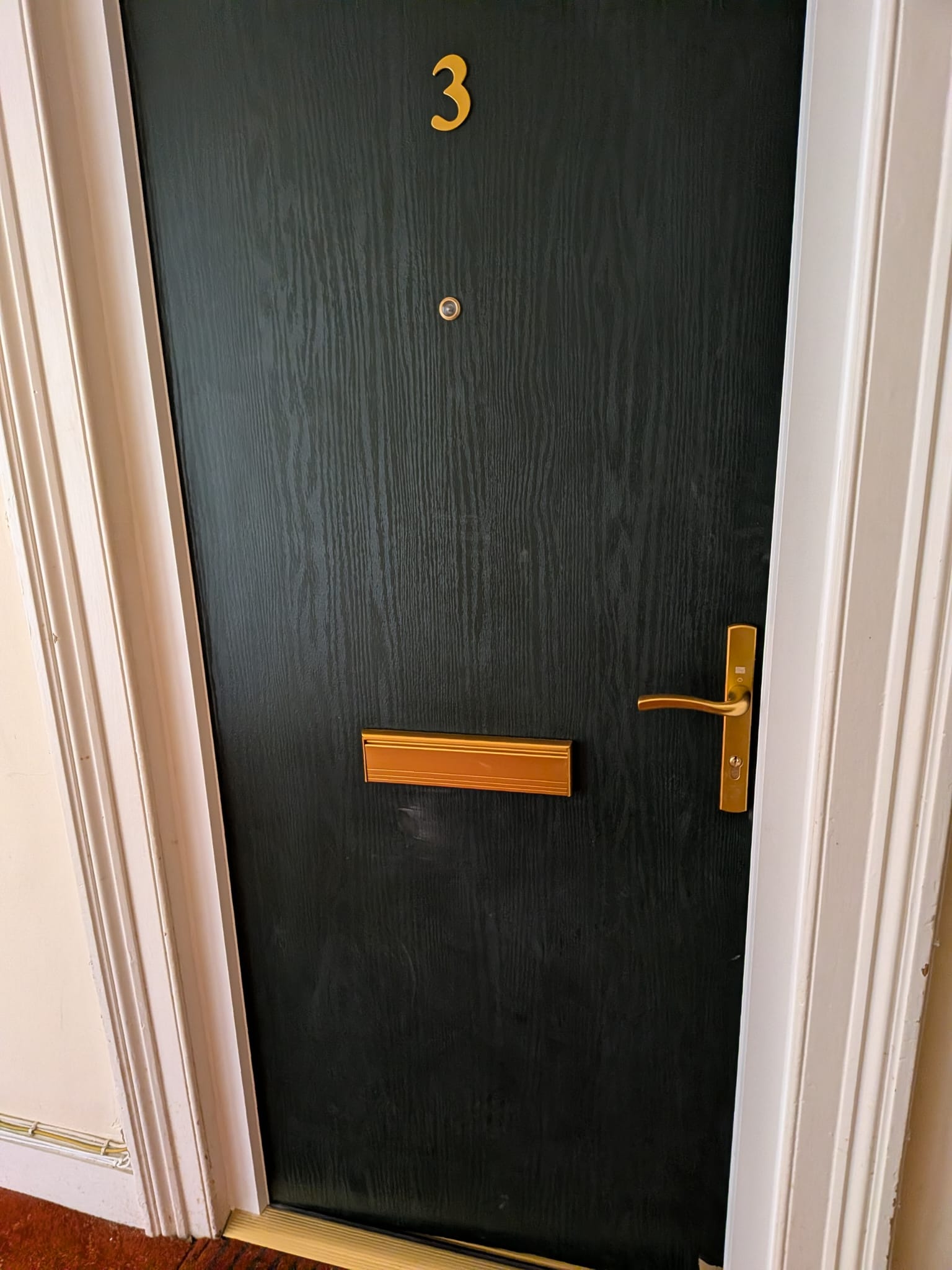 Completed dark green flat entrance door with brass hardware